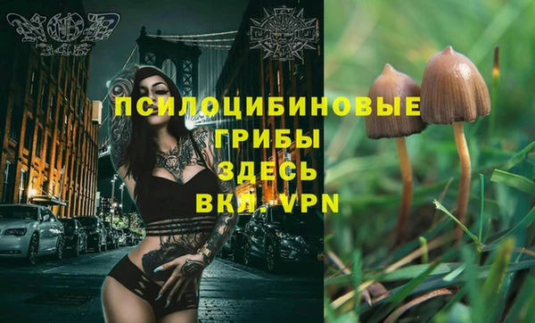 кокаин перу Горняк