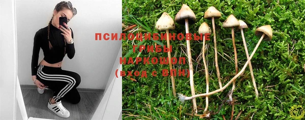 метадон Горнозаводск