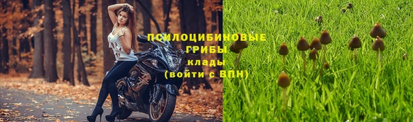спайс Новокубанск